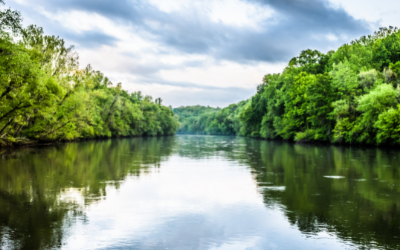  Minnesota-Riverfront-Property